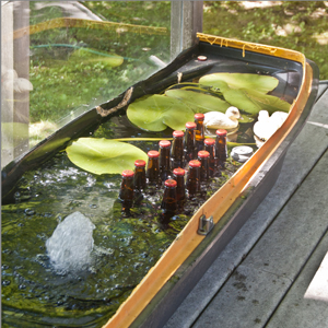 The Water Garden Beer Chiller Hot Tub